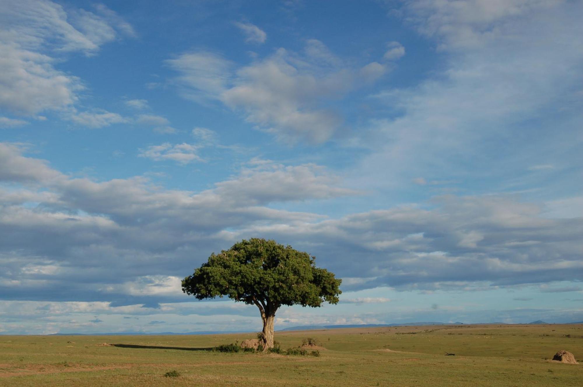 Mara Intrepids Tented Camp Talek Exterior photo